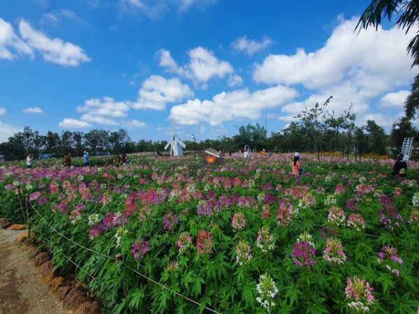 Van Hoa Plateau In Phu Yen